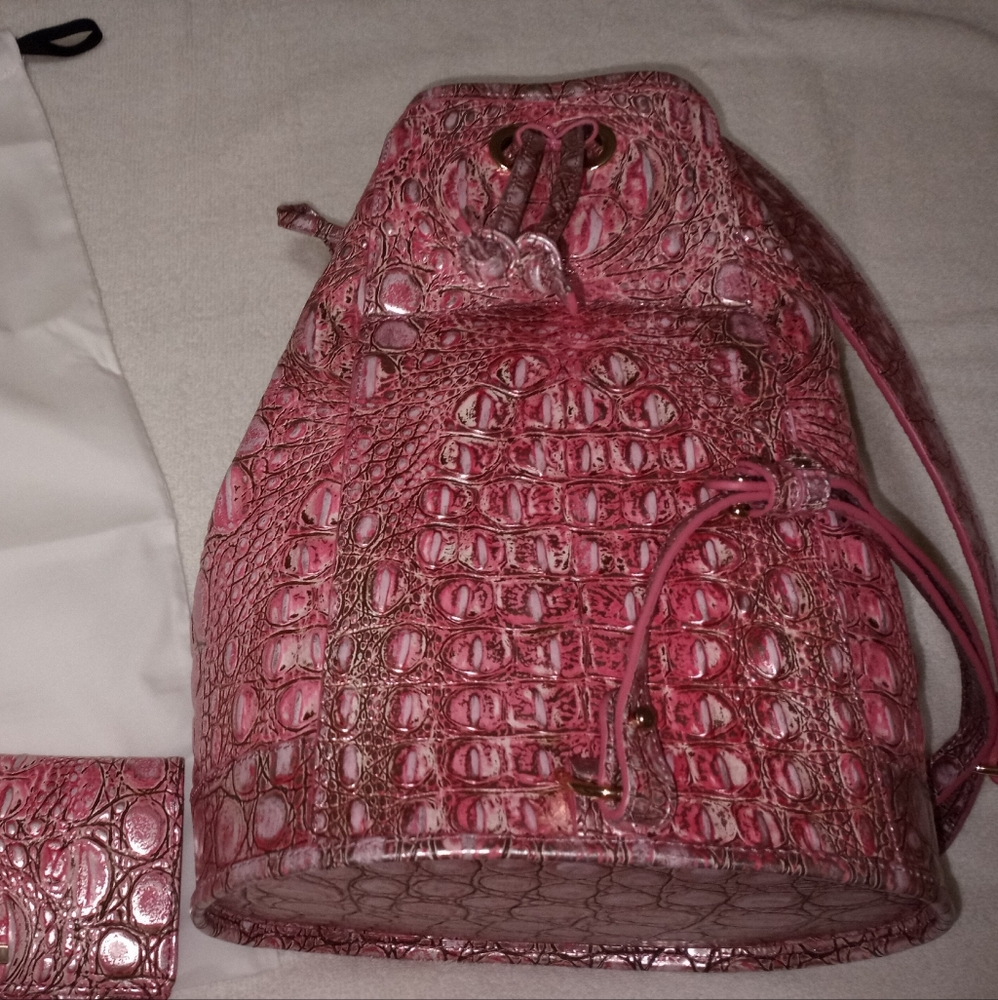 Brahmin Allie Sling